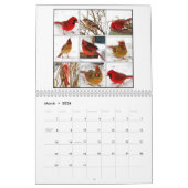 Noordelijke Rode Kardinalen Kardinalis mooie foto' Kalender (Mar 2026)