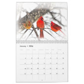 Noordelijke Rode Kardinalen Kardinalis mooie foto' Kalender (Jan 2026)