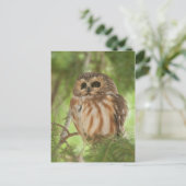 Noordelijke Saw-whet Owl Briefkaart (Staand voorkant)
