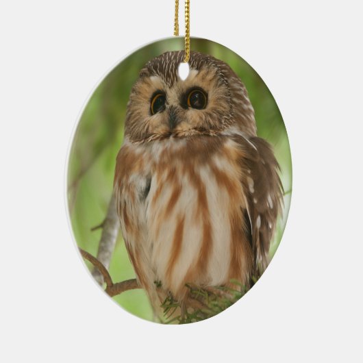 Noordelijke Saw-whet Owl Keramisch Ornament (Rechts)