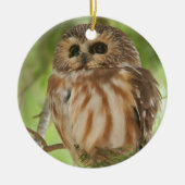 Noordelijke Saw-whet Owl Keramisch Ornament (Voorkant)