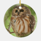 Noordelijke Saw-whet Owl Keramisch Ornament (Achterkant)