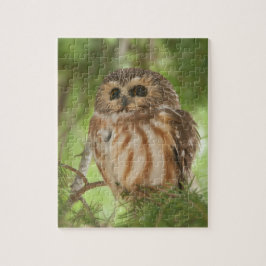 Noordelijke Saw-whet Owl Legpuzzel