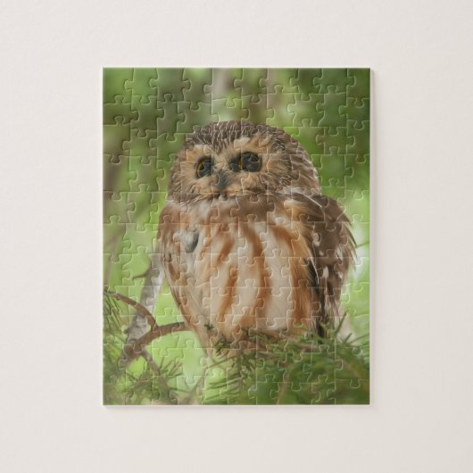 Noordelijke Saw-whet Owl Legpuzzel (Verticaal)