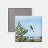 Noordelijke shrike magneet (Voorkant / Achterkant)
