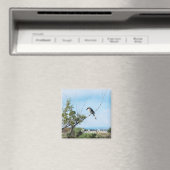 Noordelijke shrike magneet (Insitu (Vaatwasser))