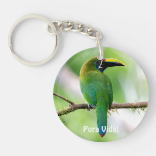 Noordelijke smaragdtoucanet & Blauwe Morpho Vlinde Sleutelhanger