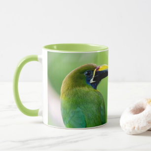 Noordelijke smaragdtoucanet in Costa Rica Mok