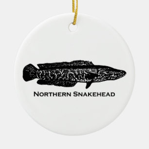 Noordelijke snakehead keramisch ornament