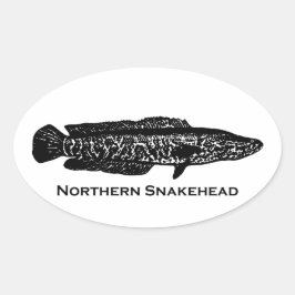Noordelijke snakehead ovale sticker