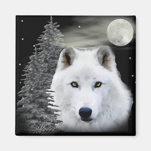 Noordelijke sneeuw magneet (Voorkant)