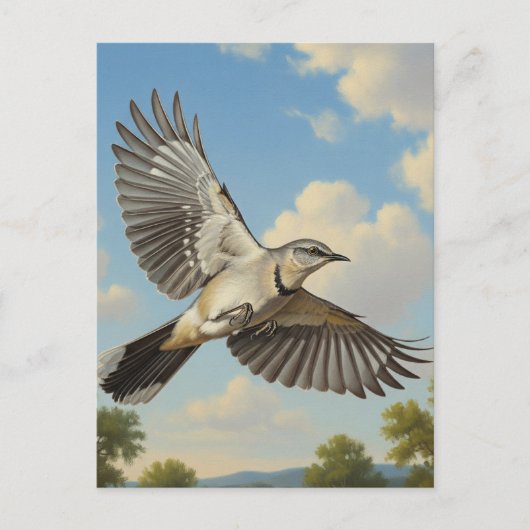 Noordelijke Spotlijster in vlucht Briefkaart (Voorkant)