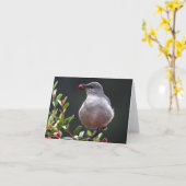 Noordelijke Spotlijster - Joe Sweeney - kaart (Gele Bloem)