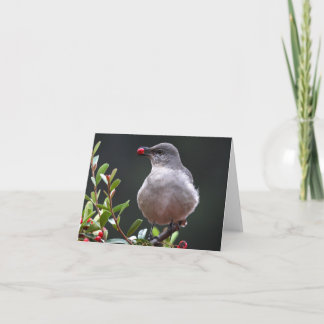 Noordelijke Spotlijster - Joe Sweeney - kaart