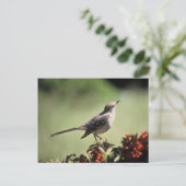 Noordelijke spotvogel briefkaart (Staand voorkant)