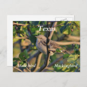 Noordelijke spotvogel briefkaart (Voorkant / Achterkant)