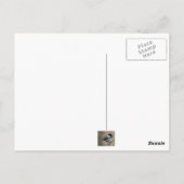 Noordelijke spotvogel briefkaart (Achterkant)