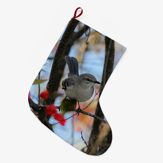 Noordelijke spotvogel grote kerstsok (Voorkant (Hangend))