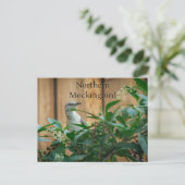 Noordelijke spotvogel in Pokeweed Plant Briefkaart (Staand voorkant)