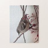 Noordelijke spotvogel legpuzzel (Verticaal)