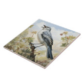 Noordelijke spotvogel, Zingende vogel Tegeltje (Zijkant)