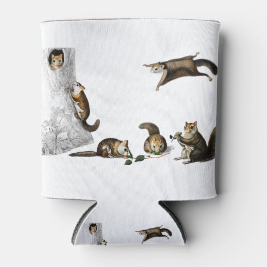  noordelijke vliegende eekhoorn blikjeskoeler (Voorkant)