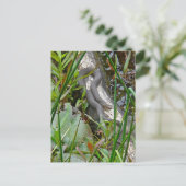 Noordelijke waterslang op basis van meerdere stamh briefkaart (Staand voorkant)