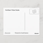 Noordelijke waterslang op basis van meerdere stamh briefkaart (Achterkant)