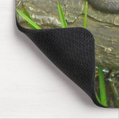 Noordelijke waterslang op basis van meerdere stamh muismat (Hoek)