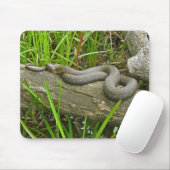 Noordelijke waterslang op basis van meerdere stamh muismat (Met muis)