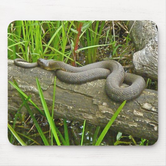 Noordelijke waterslang op basis van meerdere stamh muismat (Voorkant)