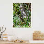 Noordelijke waterslang op basis van meerdere stamh poster (Keuken)