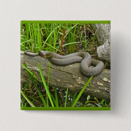 Noordelijke waterslang op basis van meerdere stamh vierkante button 5,1 cm (Voorkant)