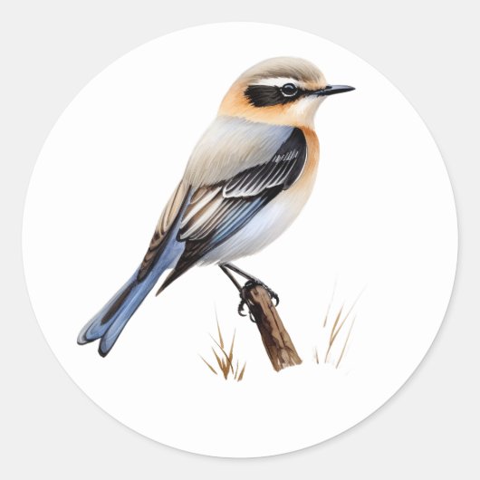 Noordelijke Wheatear Songbird Stickers (Voorkant)