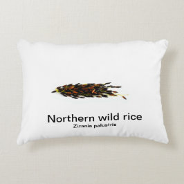 Noordelijke wilde rijst op een witte achtergrond accent kussen