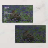 Noordelijke witte kwartel visitekaartje (Voorkant / Achterkant)