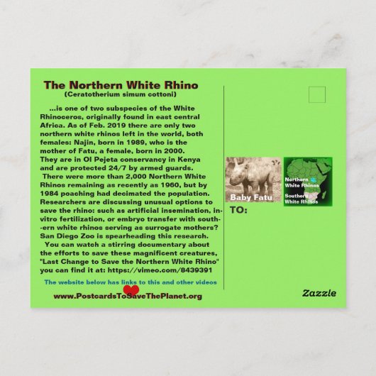 - Noordelijke witte neushoorn is ernstig bedreigd Briefkaart (Achterkant)