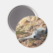 Noordelijke wolf #2 magneet (Voorkant / Achterkant)
