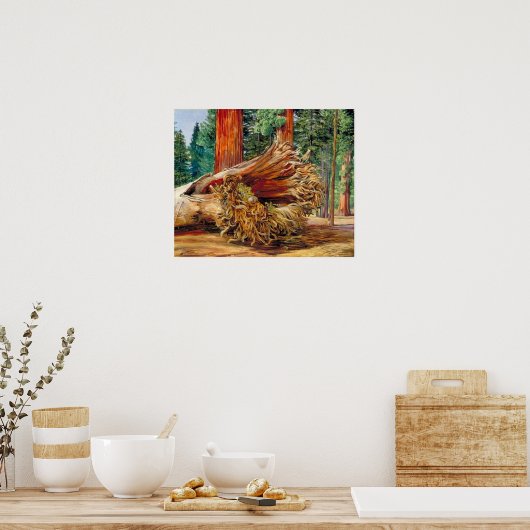 Noorden - Een gestorven Giant Calaveras Grove Cali Poster (Keuken)