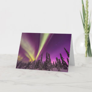 Noorderlicht Aurora Borealis Fairbanks Alaska Kaart