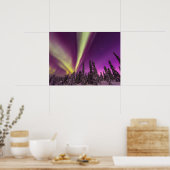 Noorderlicht Aurora Borealis Fairbanks Alaska Poster (Keuken)