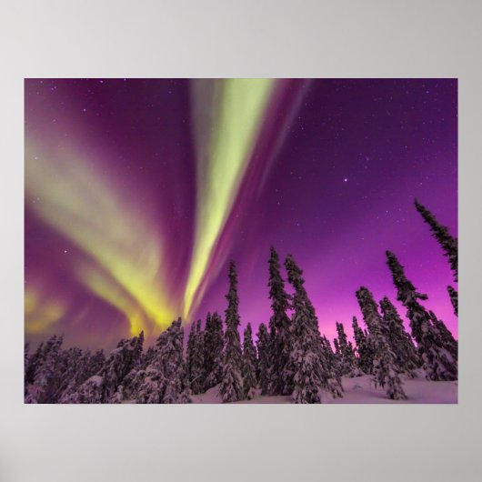 Noorderlicht Aurora Borealis Fairbanks Alaska Poster (Voorkant)