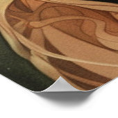 noorderlicht aurora borealis vikingdame poster (Hoek)