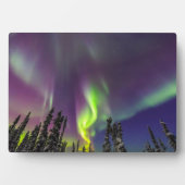 Noorderlicht | Fairbanks, Alaska Fotoplaat (voorkant)