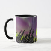 Noorderlicht | Fairbanks, Alaska Mok (Links)