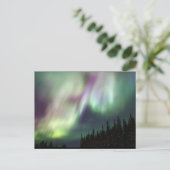Noorderlicht Hemel Vrede Liefde Winter Foto Briefkaart (Staand voorkant)