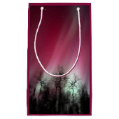 Noorderlicht - Kleine geschenkzak Klein Cadeauzakje (Voorkant)