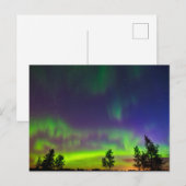 Noorderlicht | Manitoba Canada Briefkaart (Voorkant / Achterkant)