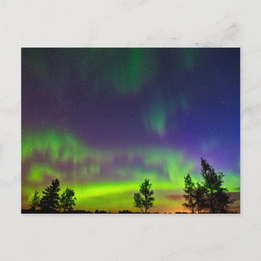 Noorderlicht | Manitoba Canada Briefkaart (Voorkant)