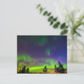 Noorderlicht | Manitoba Canada Briefkaart (Staand voorkant)